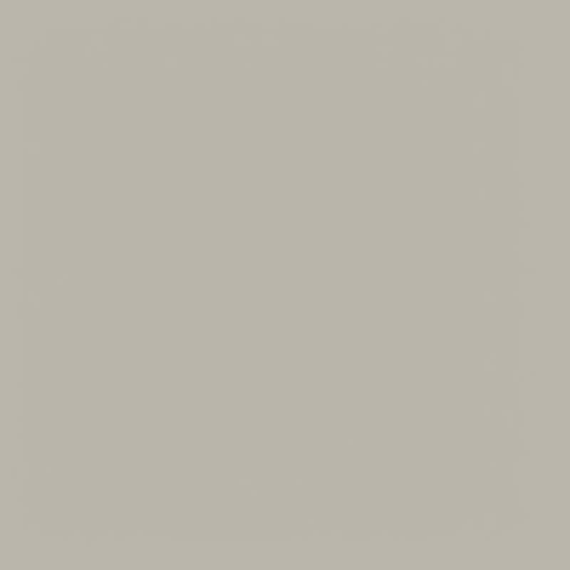 Mindful Gray SW 7016