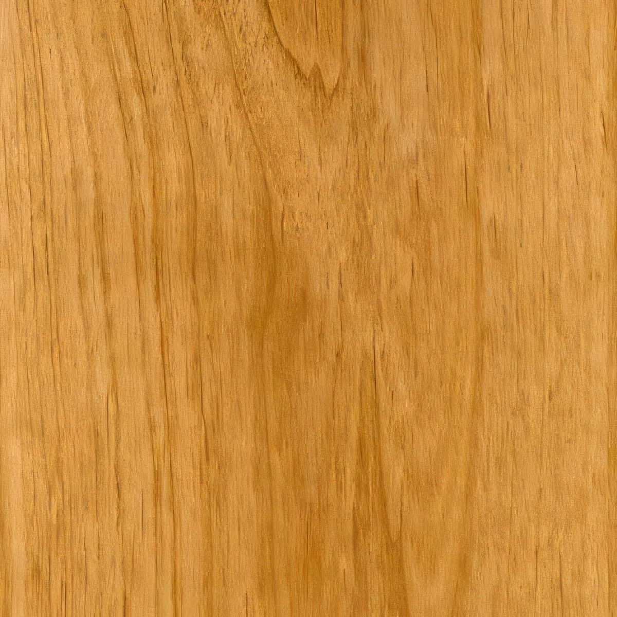 Alder material swatch