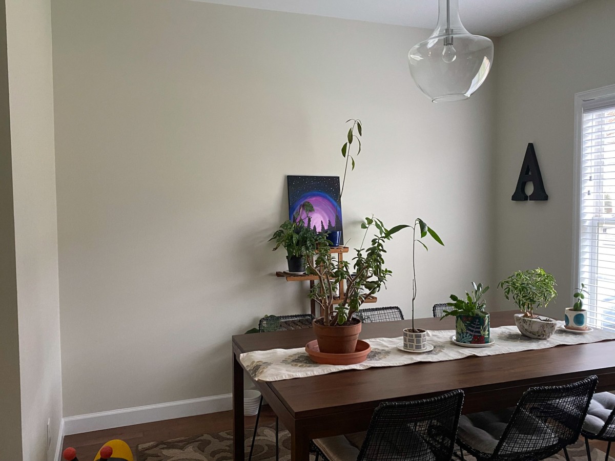 A dining room before picture. 